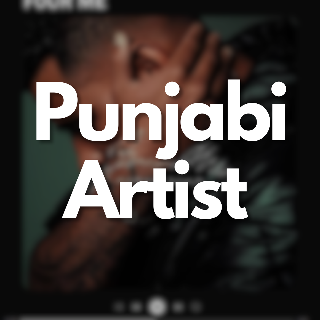 Punjabi Artist